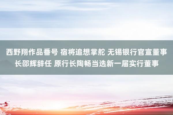 西野翔作品番号 宿将追想掌舵 无锡银行官宣董事长邵辉辞任 原行长陶畅当选新一届实行董事