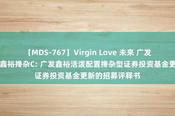 【MDS-767】Virgin Love 未来 广发鑫裕搀杂A,广发鑫裕搀杂C: 广发鑫裕活泼配置搀杂型证券投资基金更新的招募评释书