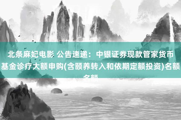 北条麻妃电影 公告速递：中银证券现款管家货币基金诊疗大额申购(含颐养转入和依期定额投资)名额