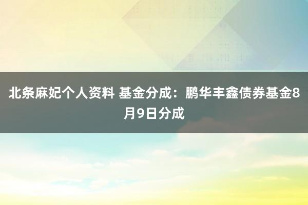 北条麻妃个人资料 基金分成：鹏华丰鑫债券基金8月9日分成