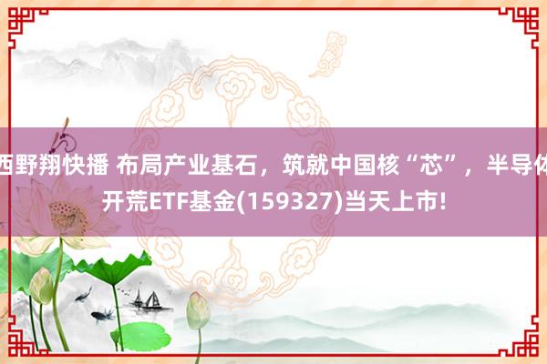 西野翔快播 布局产业基石，筑就中国核“芯”，半导体开荒ETF基金(159327)当天上市!