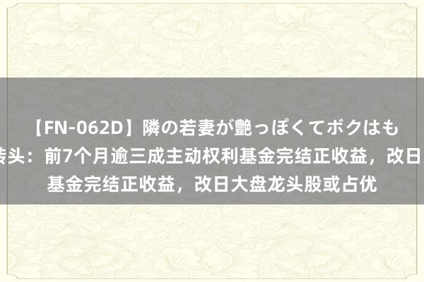 【FN-062D】隣の若妻が艶っぽくてボクはもう… 5 一周基金转头：前7个月逾三成主动权利基金完结正收益，改日大盘龙头股或占优