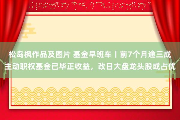 松岛枫作品及图片 基金早班车丨前7个月逾三成主动职权基金已毕正收益，改日大盘龙头股或占优