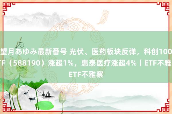 望月あゆみ最新番号 光伏、医药板块反弹，科创100ETF（588190）涨超1%，惠泰医疗涨超4%丨ETF不雅察