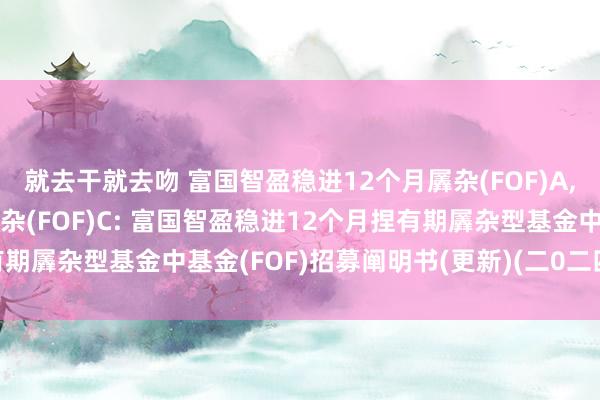 就去干就去吻 富国智盈稳进12个月羼杂(FOF)A,富国智盈稳进12个月羼杂(FOF)C: 富国智盈稳进12个月捏有期羼杂型基金中基金(FOF)招募阐明书(更新)(二0二四年第一号)