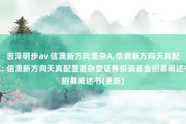 吉泽明步av 信澳新方向混杂A,信澳新方向天真配置混杂C: 信澳新方向天真配置混杂型证券投资基金招募阐述书(更新)