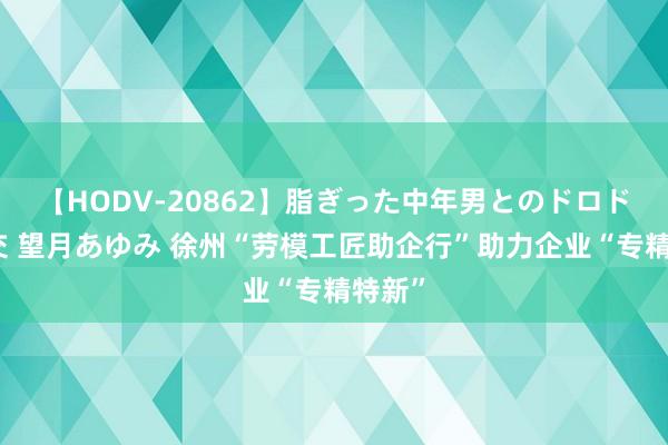 【HODV-20862】脂ぎった中年男とのドロドロ性交 望月あゆみ 徐州“劳模工匠助企行”助力企业“专精特新”