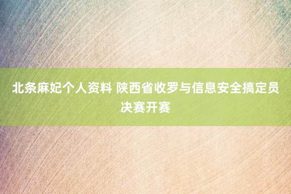 北条麻妃个人资料 陕西省收罗与信息安全搞定员决赛开赛