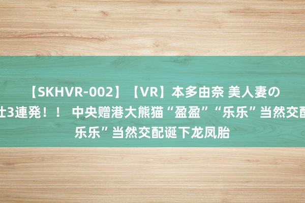 【SKHVR-002】【VR】本多由奈 美人妻の肉体エロ奉仕3連発！！ 中央赠港大熊猫“盈盈”“乐乐”当然交配诞下龙凤胎