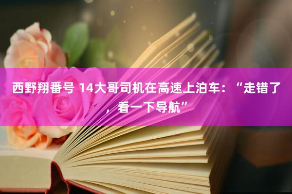 西野翔番号 14大哥司机在高速上泊车：“走错了，看一下导航”