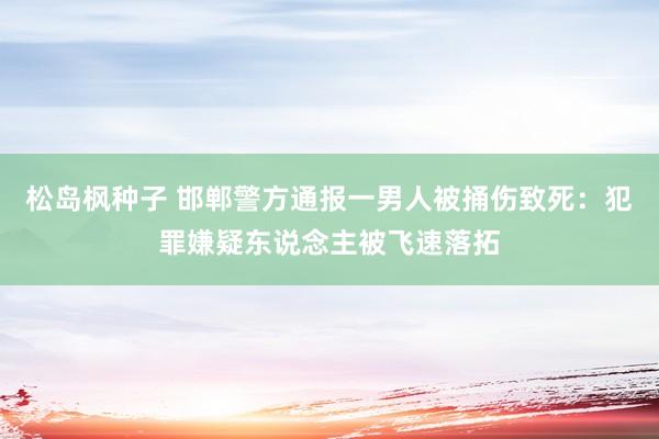 松岛枫种子 邯郸警方通报一男人被捅伤致死：犯罪嫌疑东说念主被飞速落拓