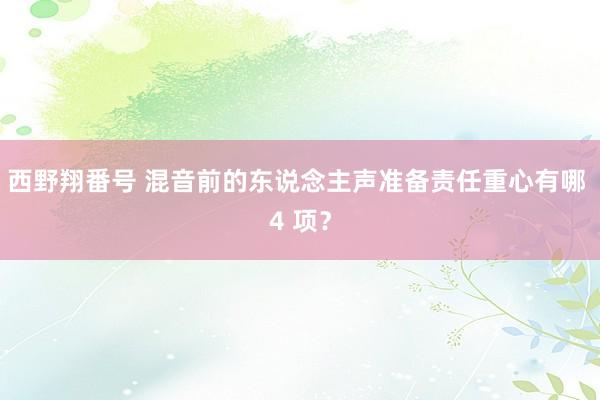 西野翔番号 混音前的东说念主声准备责任重心有哪 4 项？